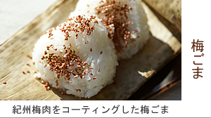 ▲紀州南高梅干通販専門店の人気商品 梅ゴマ,梅ごま